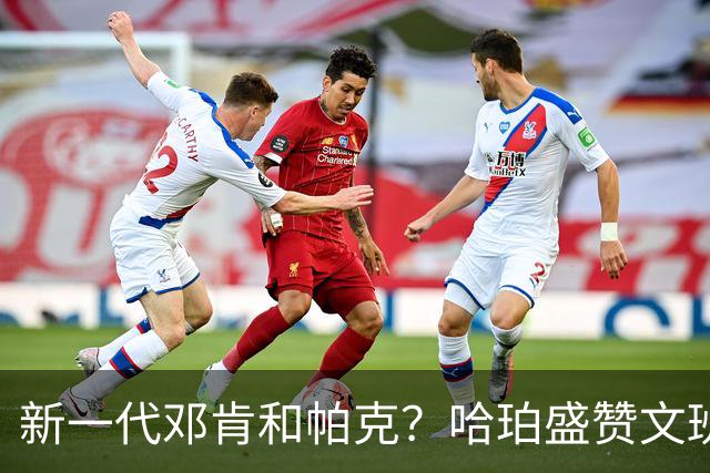 新一代邓肯和帕克？哈珀盛赞文班：方方面面，他都是最出色的领袖
