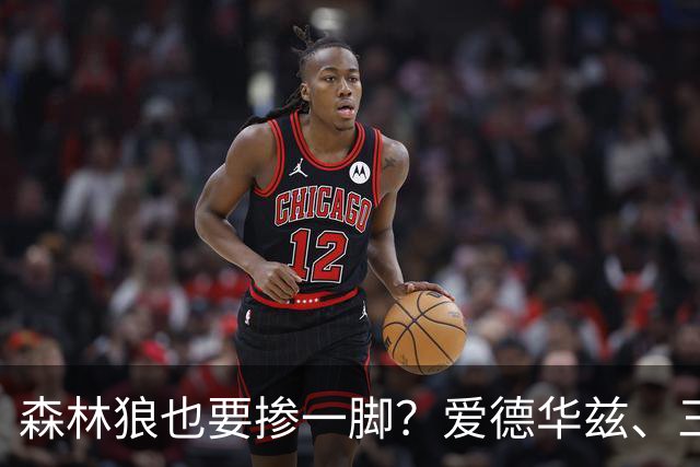 森林狼也要掺一脚？爱德华兹、三球联手招募，詹姆斯去向即将揭晓